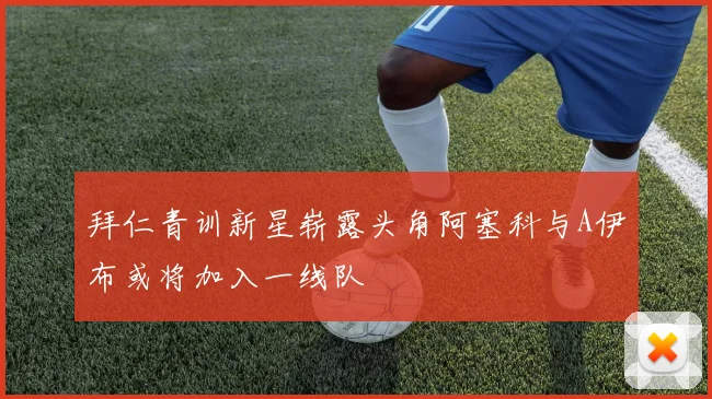 拜仁青训新星崭露头角阿塞科与A伊布或将加入一线队